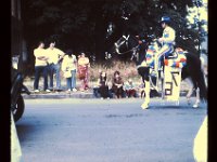 Shari Parade 8